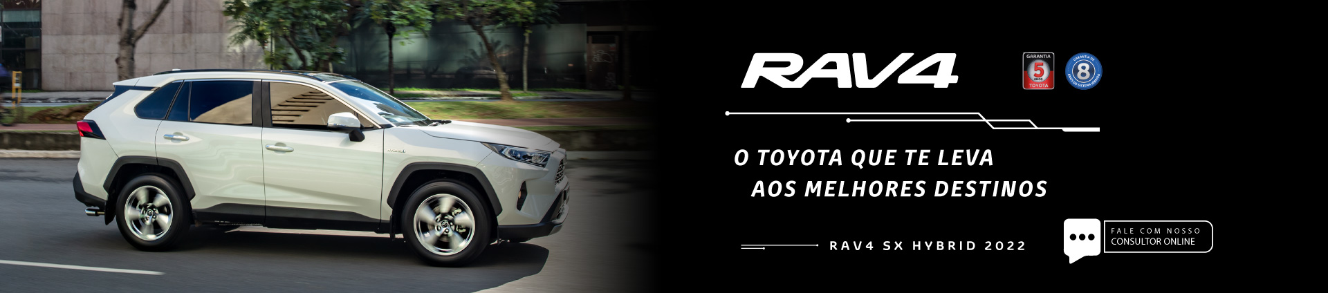 banner rav4